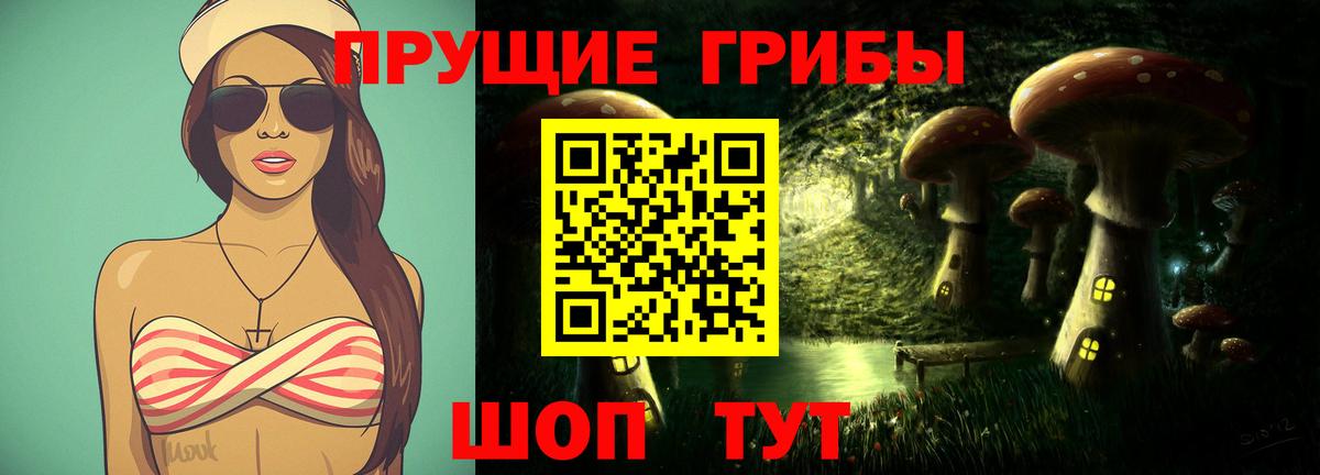 Галлюциногенные грибы прущие грибы Канск
