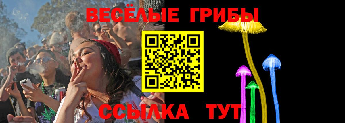 Канск  Псилоцибиновые грибы Magic Shrooms  Вход с VPN 